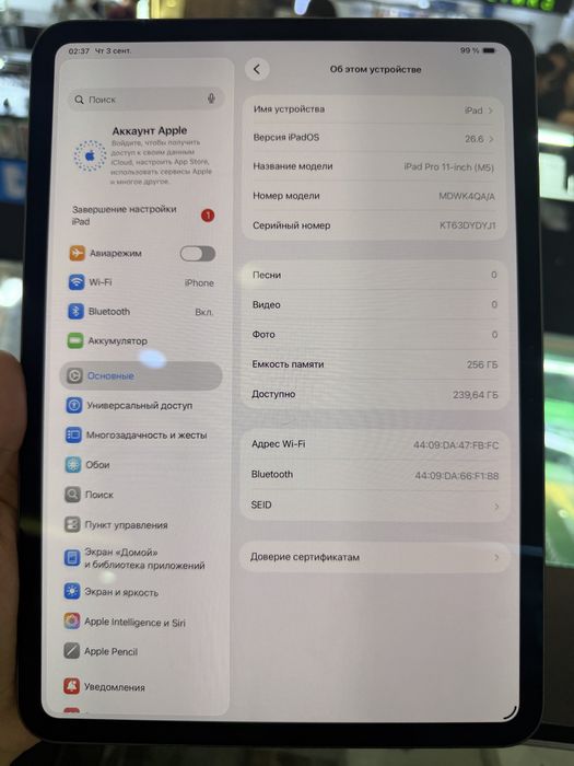 Ipad Pro M5 256 GB