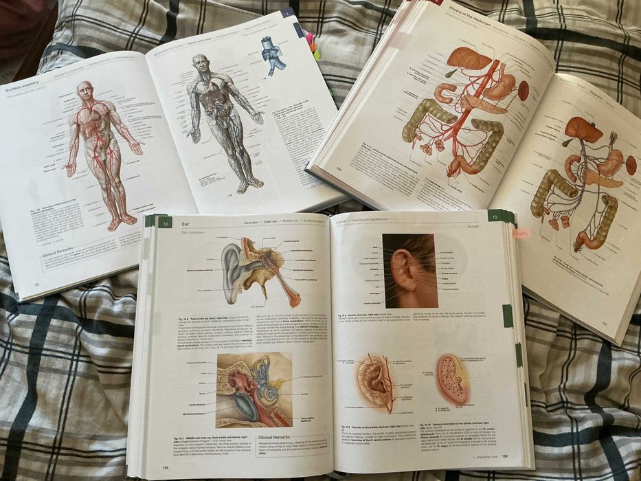 Sobotta Anatomy Books