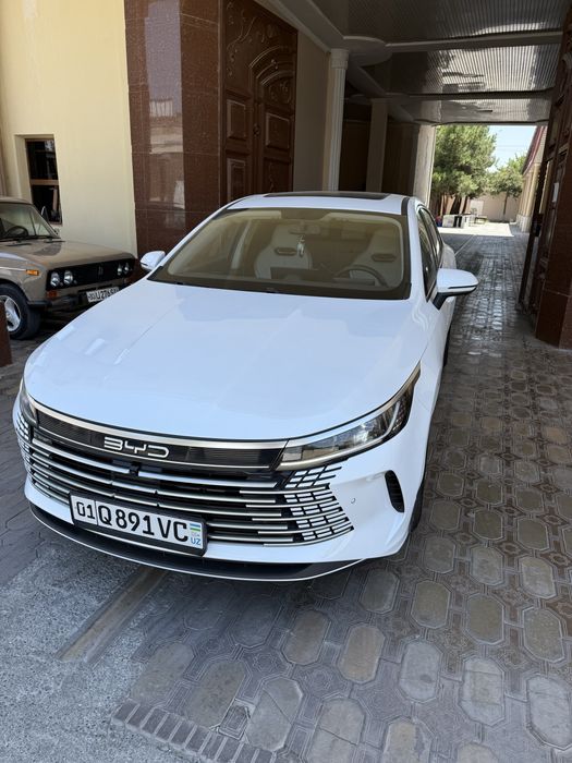 BYD Chazor Radnoy kraskada