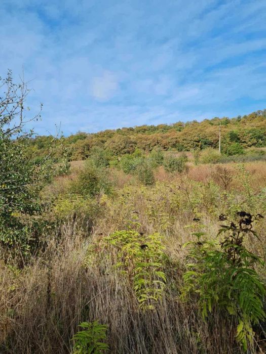 Продава се Земеделски имот в с. Прилеп, Област Добрич -  кв.м за 2158 €/дка - Снимка #1