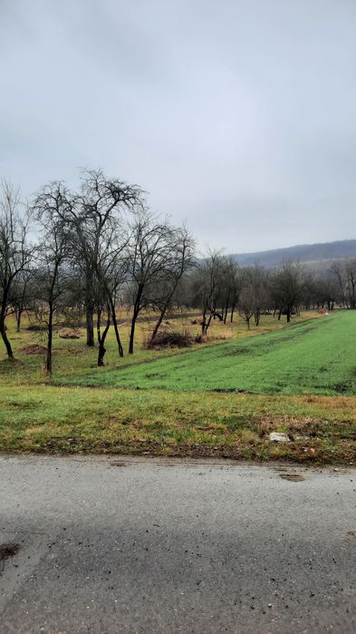 Teren intravilan
