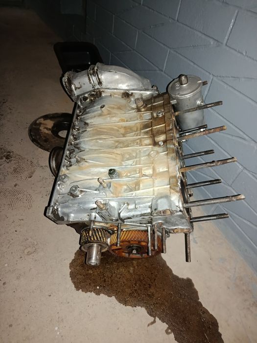 Gazelda yurgan matoʻr 10 matoʻr