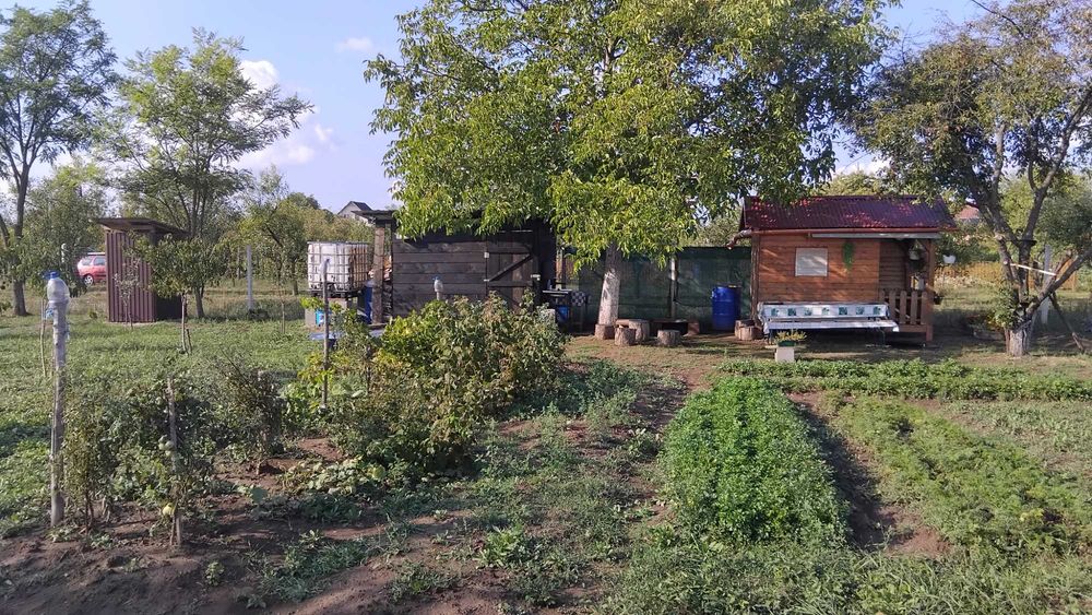 Teren extravilan de vânzare - 20 Arii