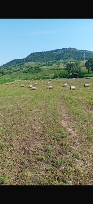 Baloți de lucernă