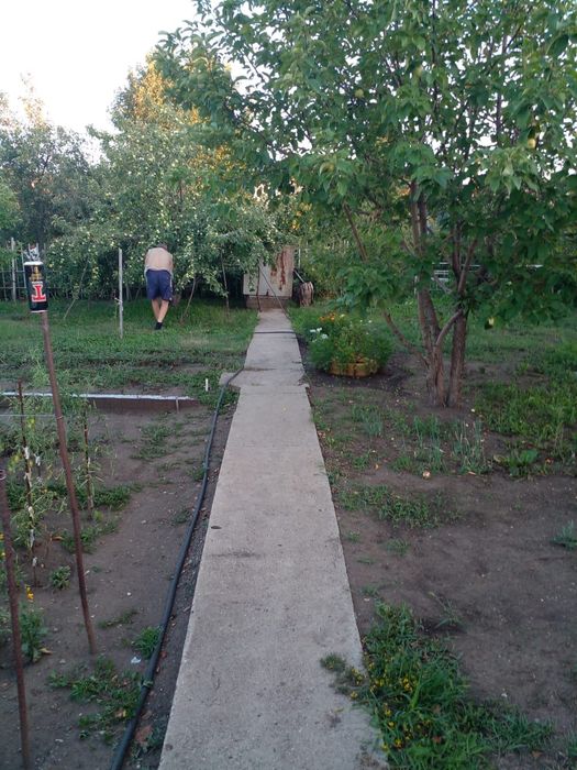Продаю дачу 6 соток