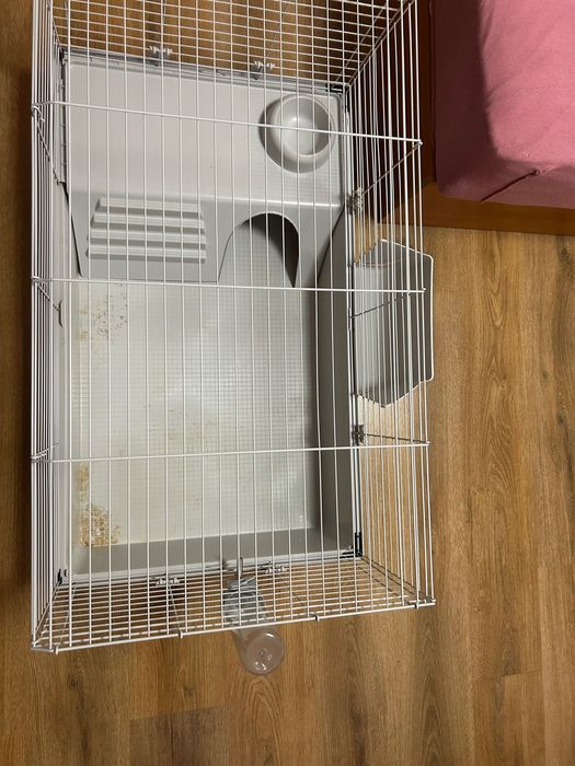 Клетка за гризачи, морски свинчета