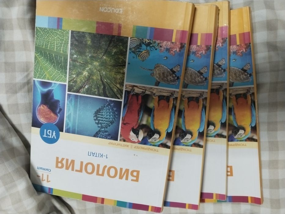 Educon ҰБТ ға дайындық бушный