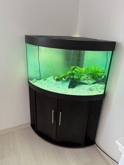 Vand Acvariu Juwel de 190 Litri