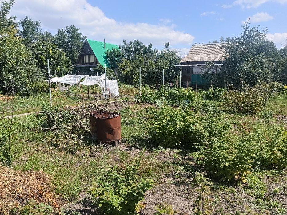 Продам дачу в Топольке.