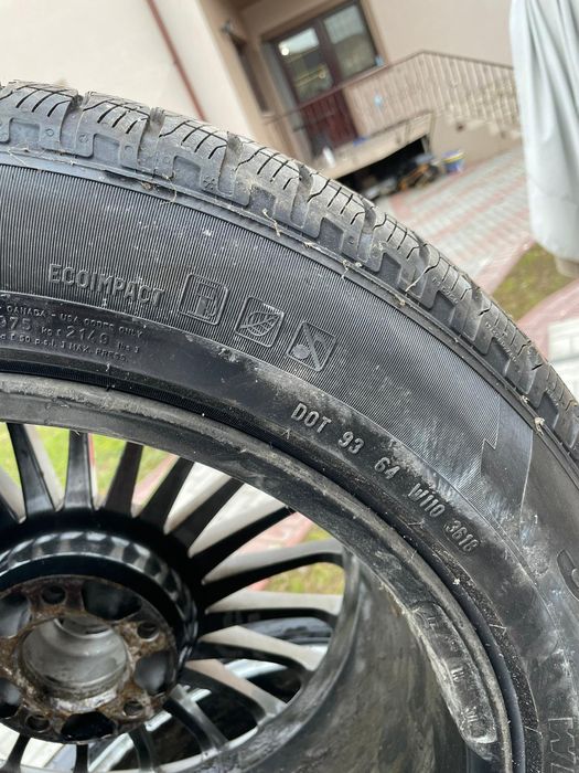 Jenti cu avelope noi