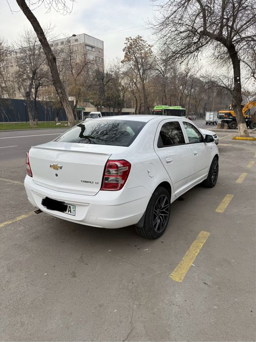 Cobalt MT 2019y. Gazi bor