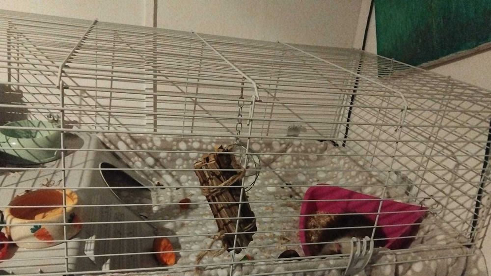 Голяма оборудвана клетка за гризачи (60х90 см) + аксесоари (Бургас)