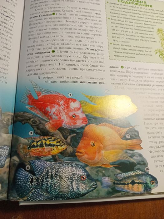 Инциклопедия аквариумные рыбки.