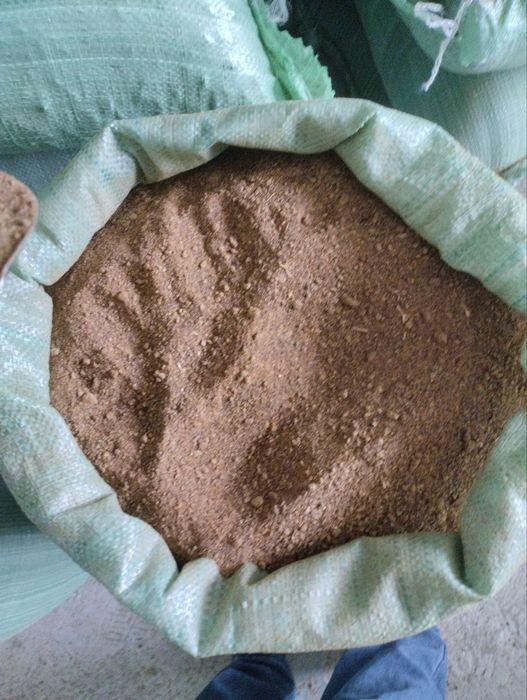 Raps va semechka shroti