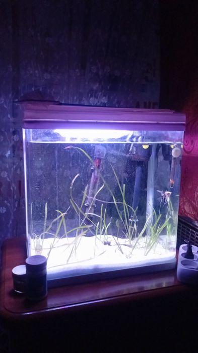 Akvarium sotiladi 30litr xtoy