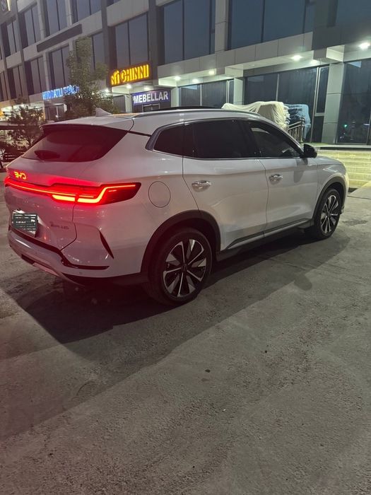 Byd chempion 2024/25