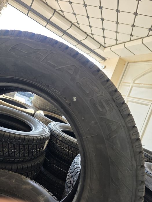 Ласса газель зимный