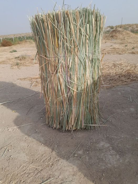 Том йопиш учун чиг ва камиш  капа. бор нархи 70 75 сум