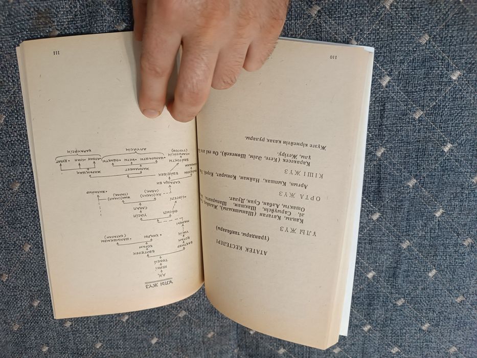 Казахское шежире