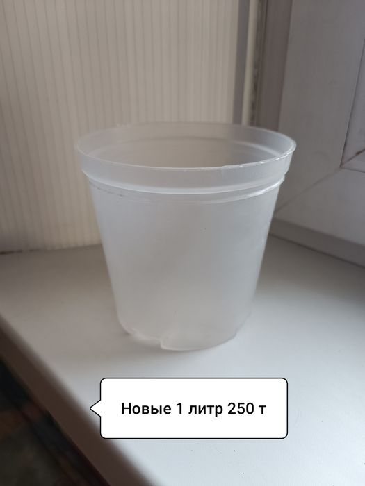 Комнатные цветы. Распродажа.