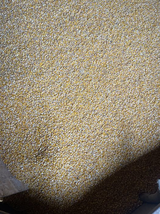 Vand graunte”bob sticlos”