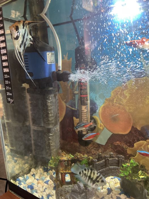 Аквариум 30 л с рыбками