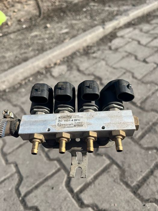 Гбо бу , stag польша