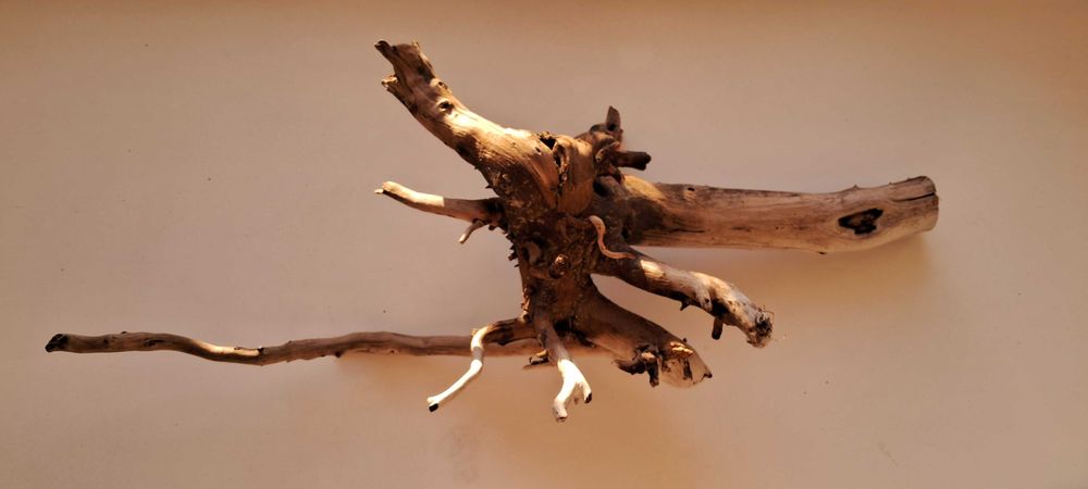 Коряга в аквариум