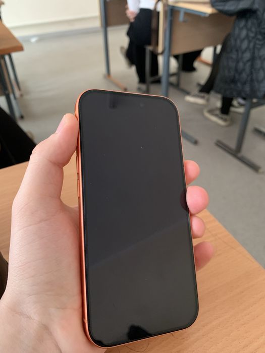 17про 256гб 100емкость 48цикл