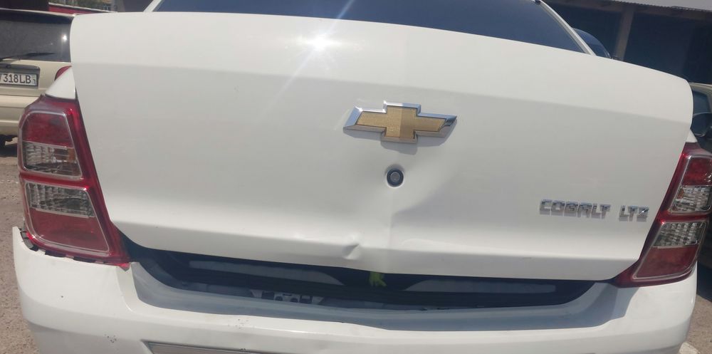 Cobolt 2024 orqa kapot