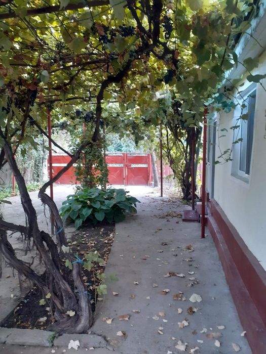 Casa Ciuslea Vrancea