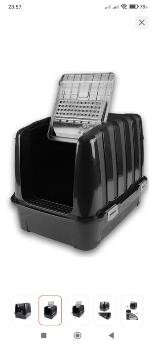 Кошка кошки котики