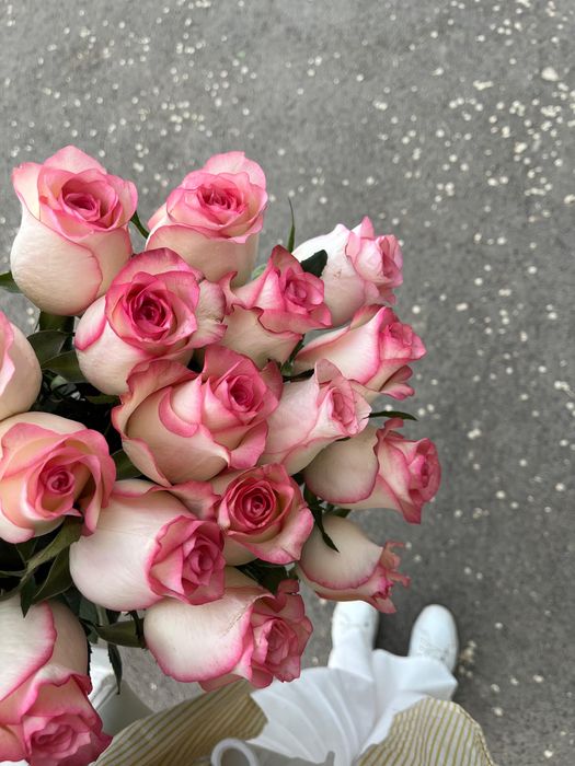 Роза 21шт свежый