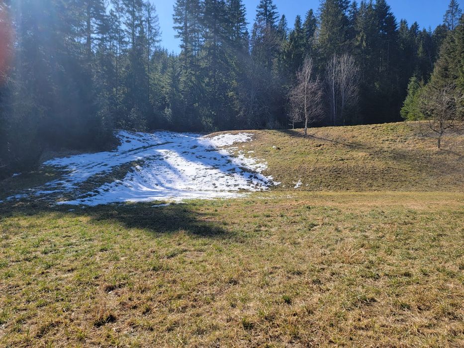 Teren intravilan cu o suprafata de 42 de ari in SUCEVITA.