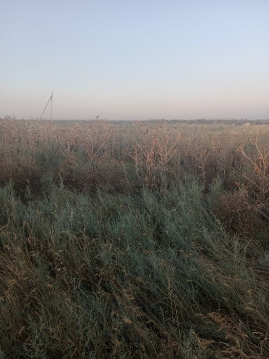 Срочно продам земельный участок