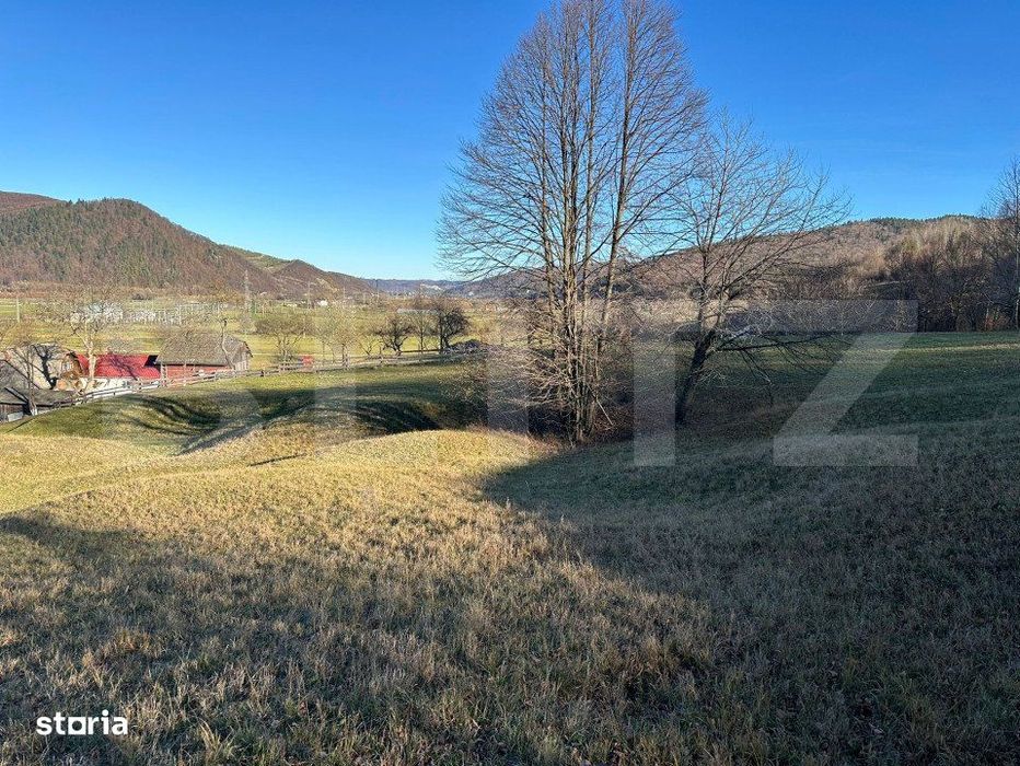 Teren intravilan, Bucsoaia - Frasin, 10000 mp