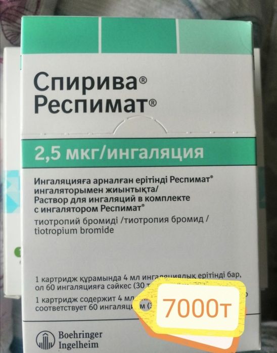 Новые  новые  новые