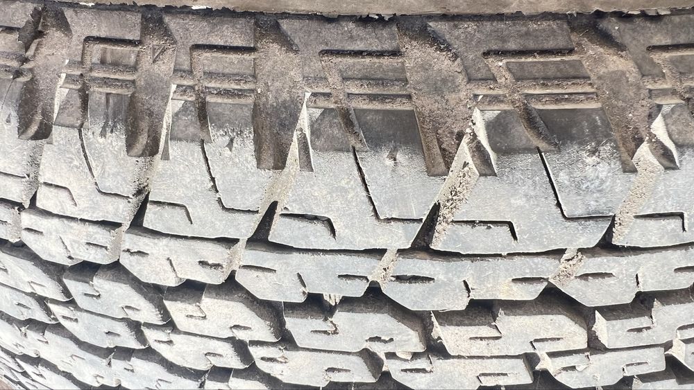 Шина на диске продам