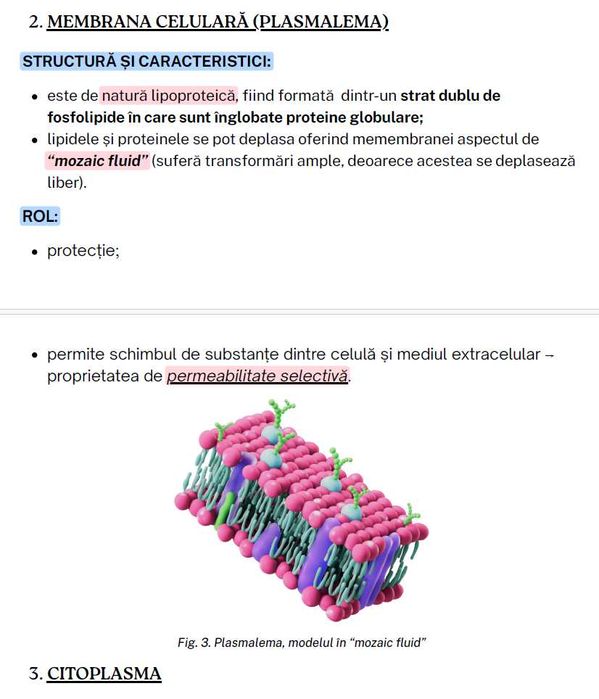 Reiei BAC-ul la Biologie sau vrei nota 10? Hai să lucrăm împreună!
