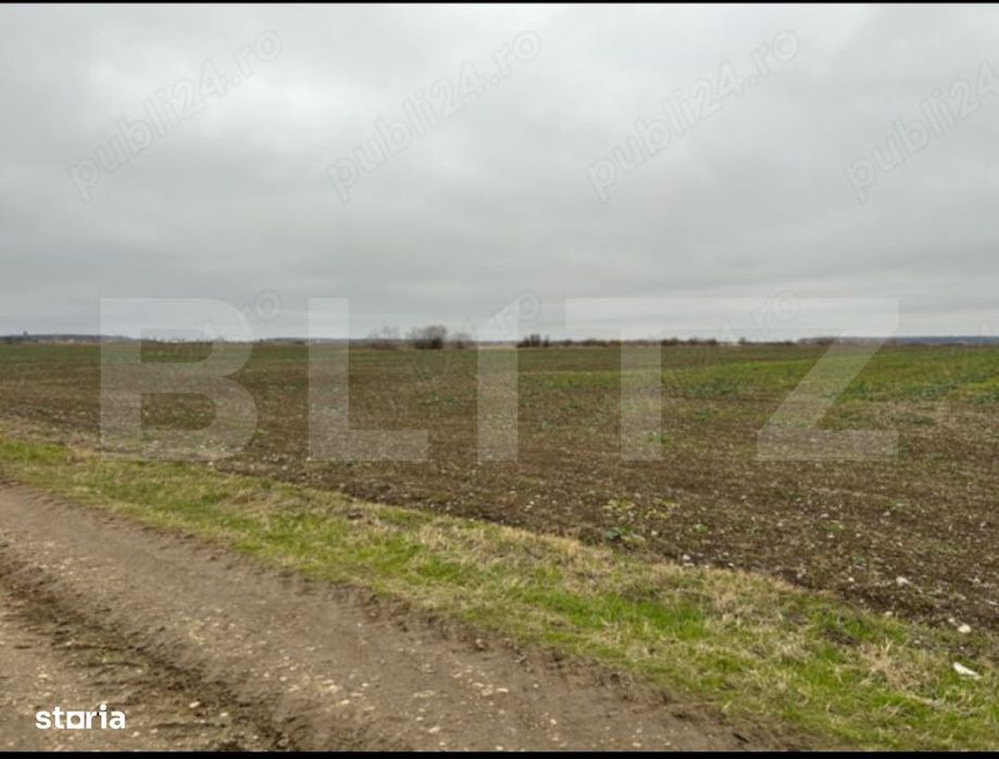 Teren extravilan, 15.500 mp, zona Tartasesti