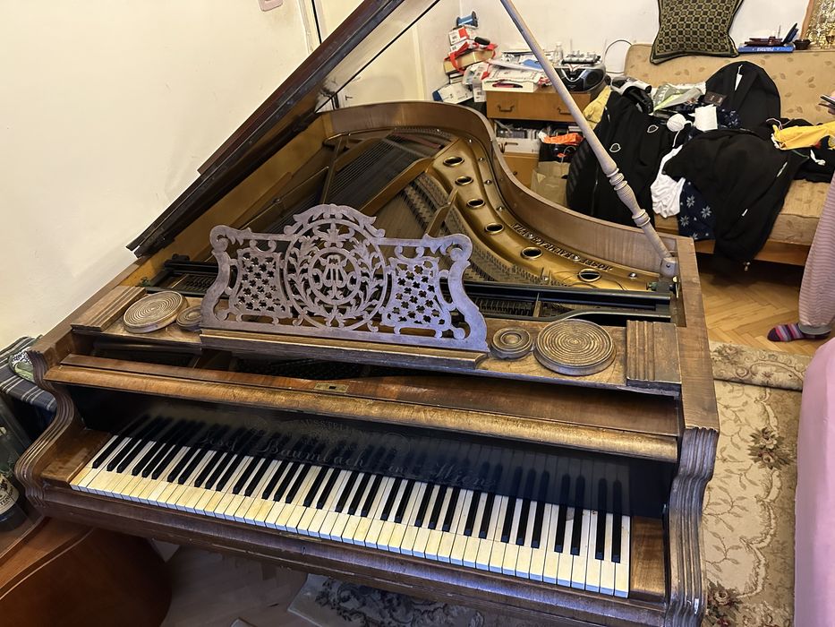 Vand pian coada lunga