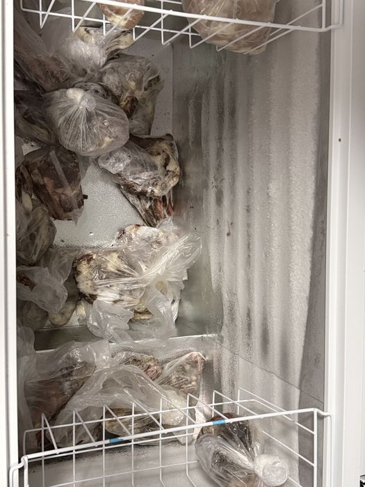 Морозильник в хорошем состоянии