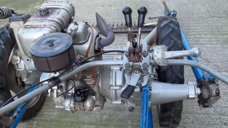 бцс - АКМЕ 1- ITALIA