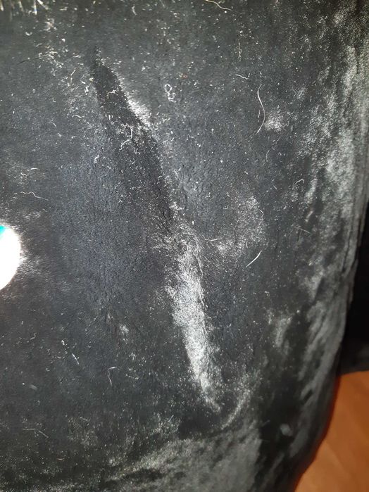 Шуба мутон и норка