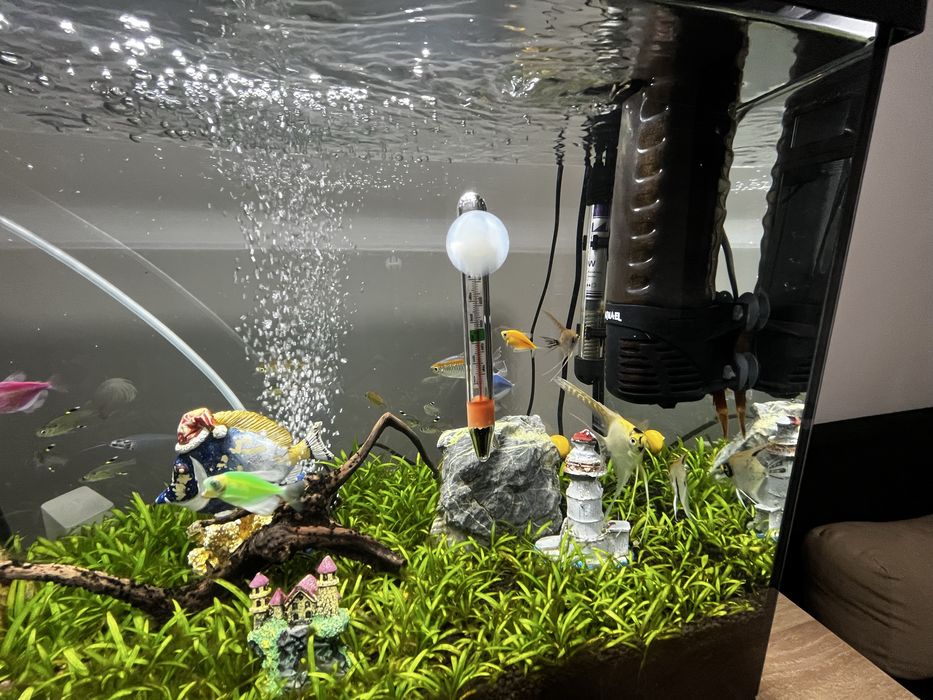 Аквариум aquael 72л