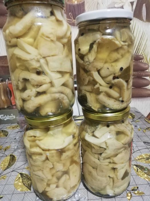 Продам домашние заготовки