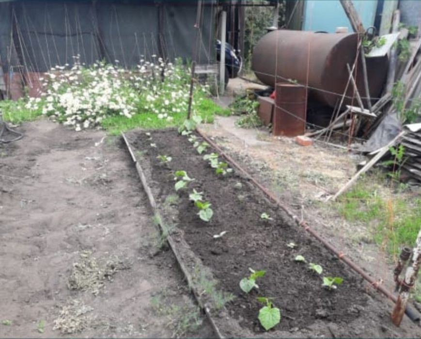 Продам дачу в Рудном