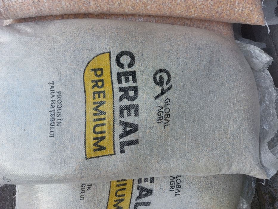 Porumb și Grâu boabe