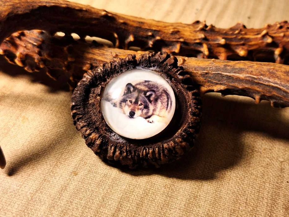 Set decorativ cu trofee de cerb si de caprior ( lopatar,mistret )_65