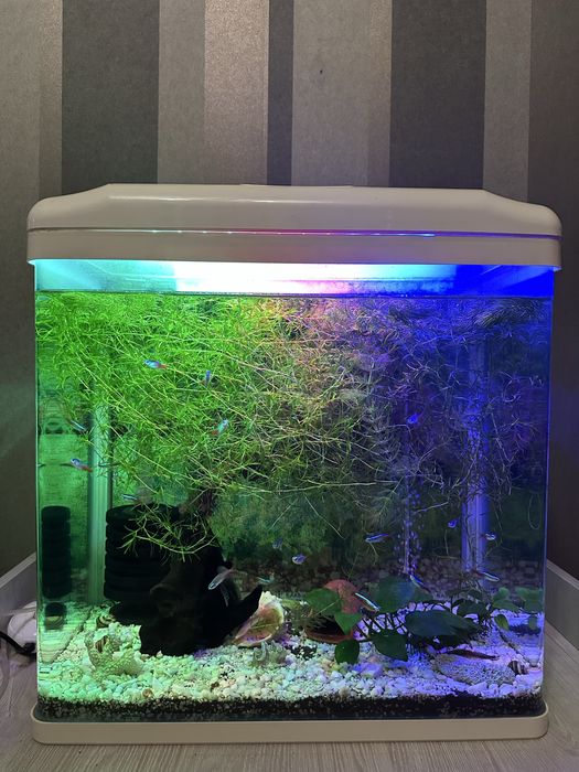 Продам аквариум.